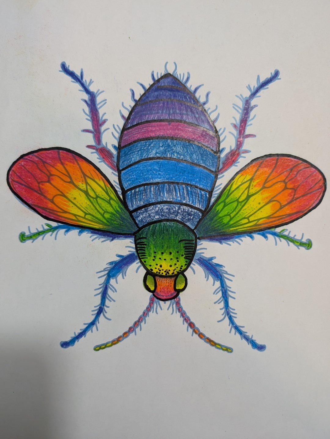 Rainbow Colored Bug